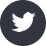 Logo Twitter